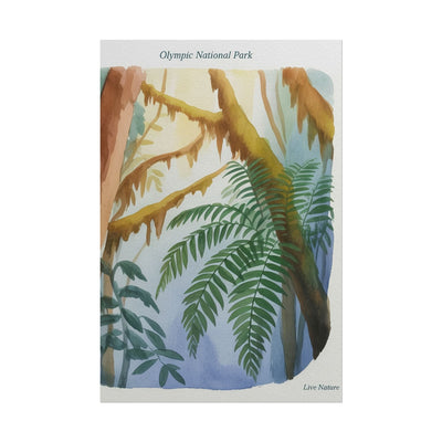 Olympic National Park Watercolor Forest Poster