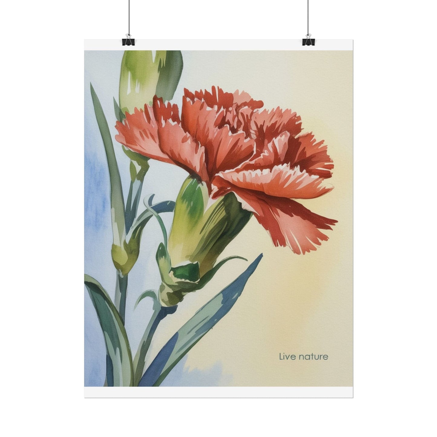 Scarlet Carnation Watercolor Art Print 'Live Nature