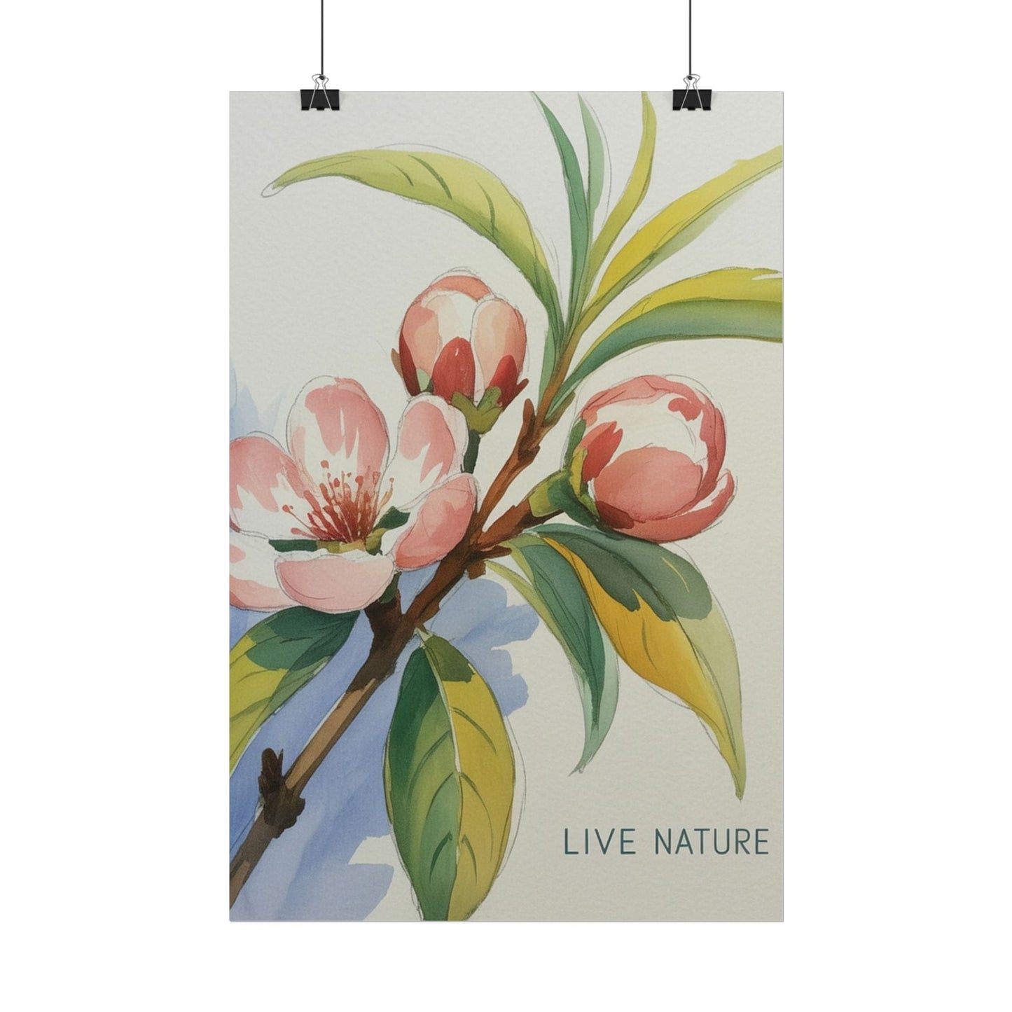 Peach Blossom Live Nature Art Print Poster