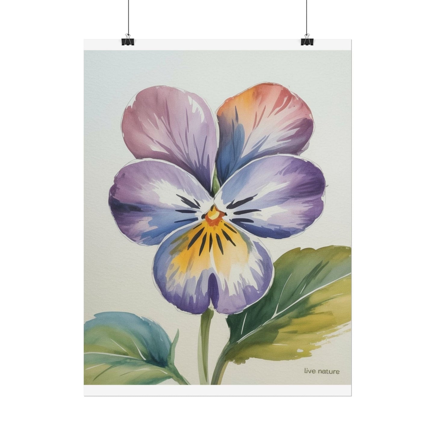Violet Pansy Watercolor Art Print - Live Nature Design