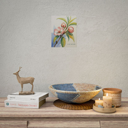 Peach Blossom Live Nature Art Print Poster