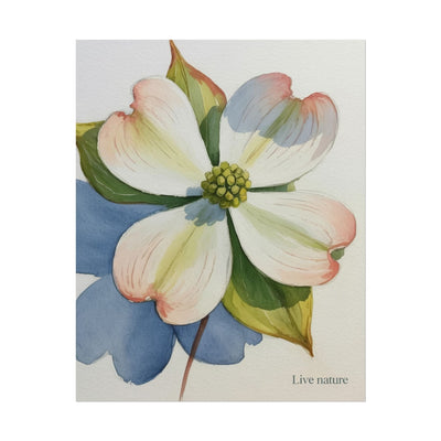 Flowering Dogwood Watercolor Print 'Live Nature