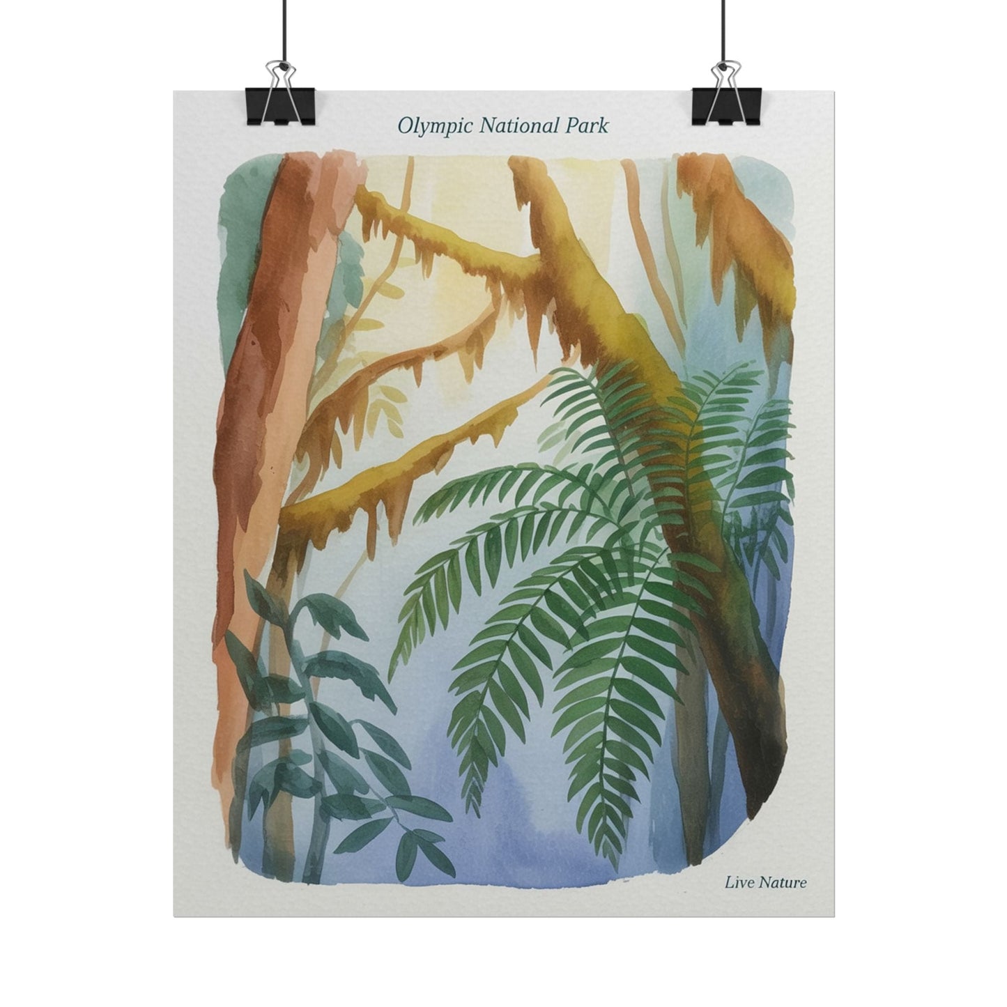 Olympic National Park Watercolor Forest Poster