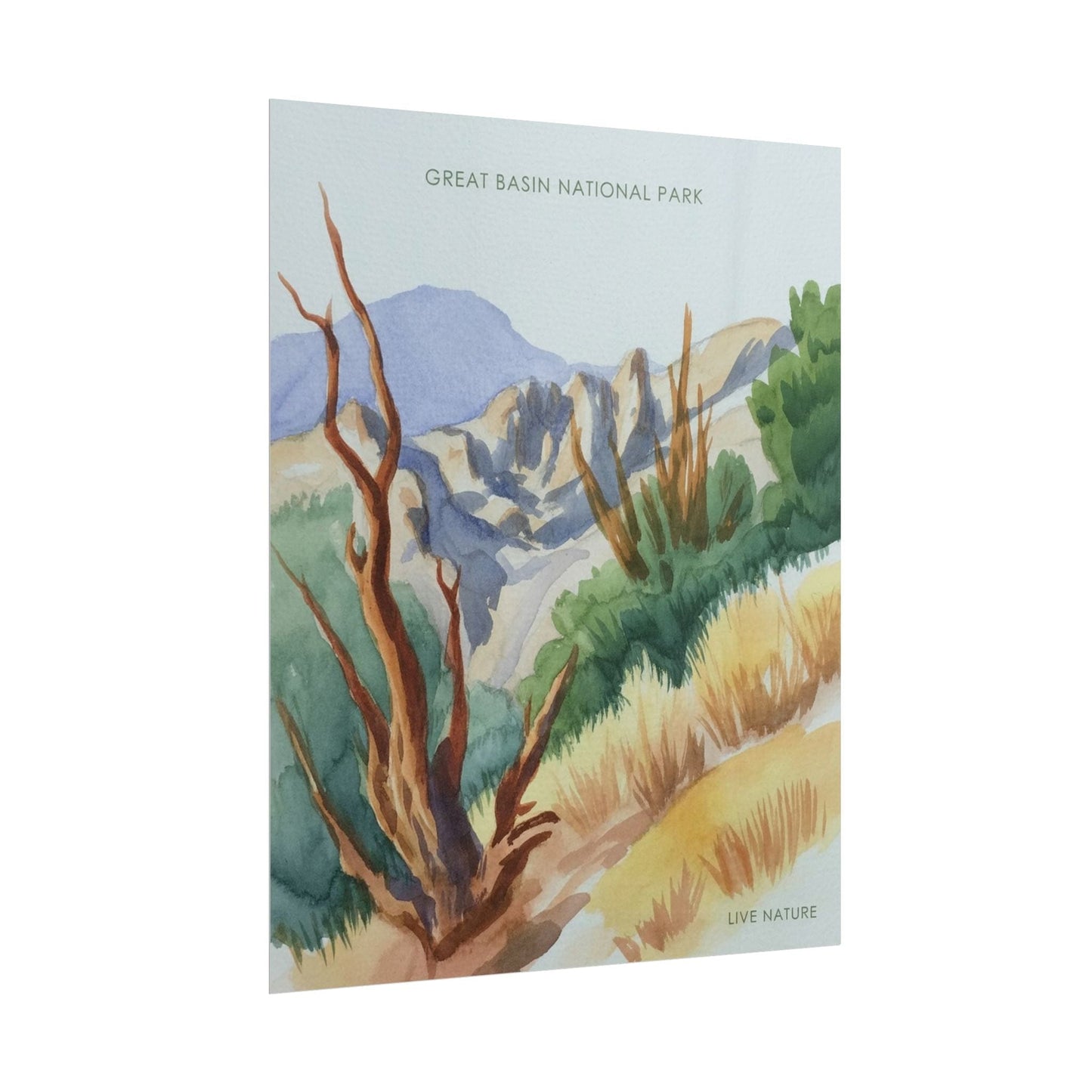 Great Basin National Park Watercolor Art Print