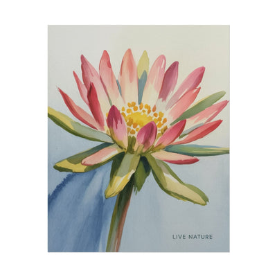 Bitterroot Flower Watercolor Print 'Live Nature