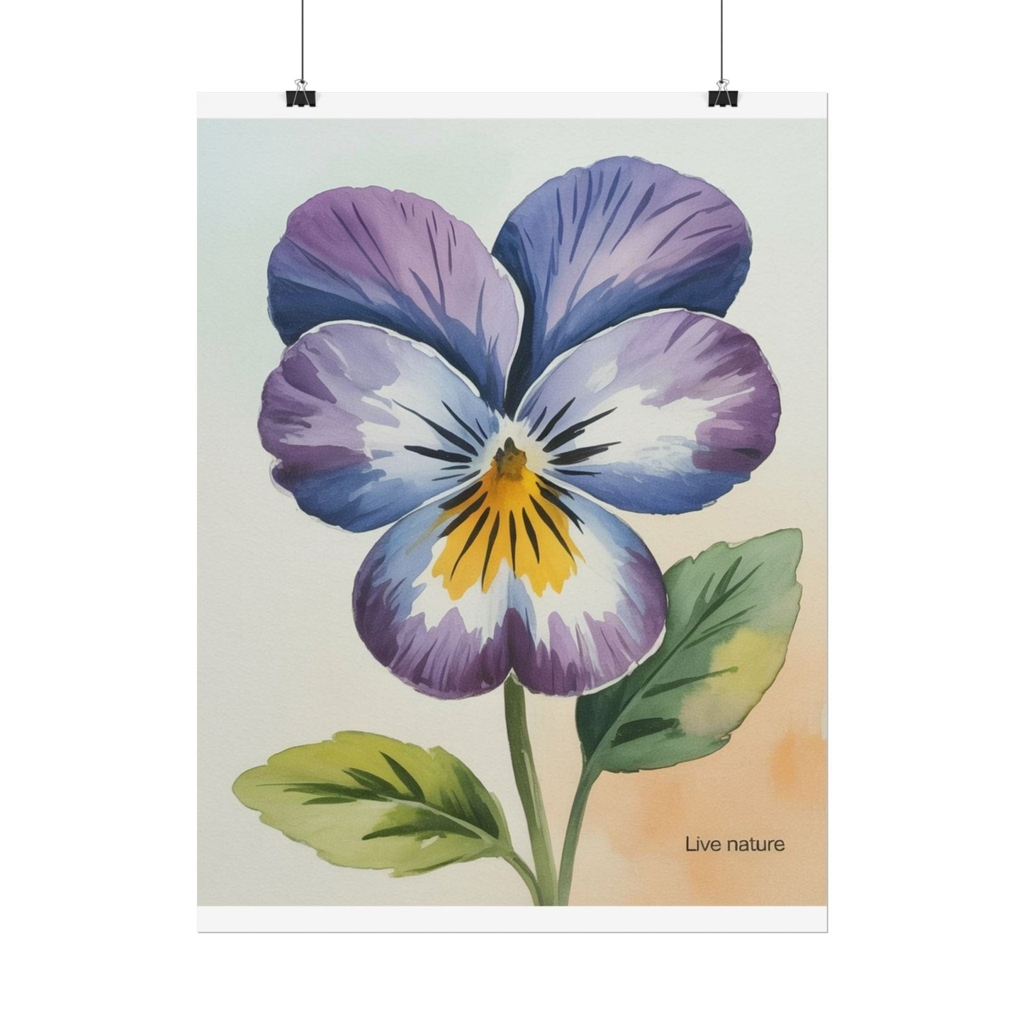 Purple Pansy Watercolor Poster Art Print - Live Nature