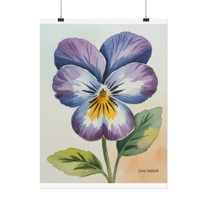 Purple Pansy Watercolor Poster Art Print - Live Nature