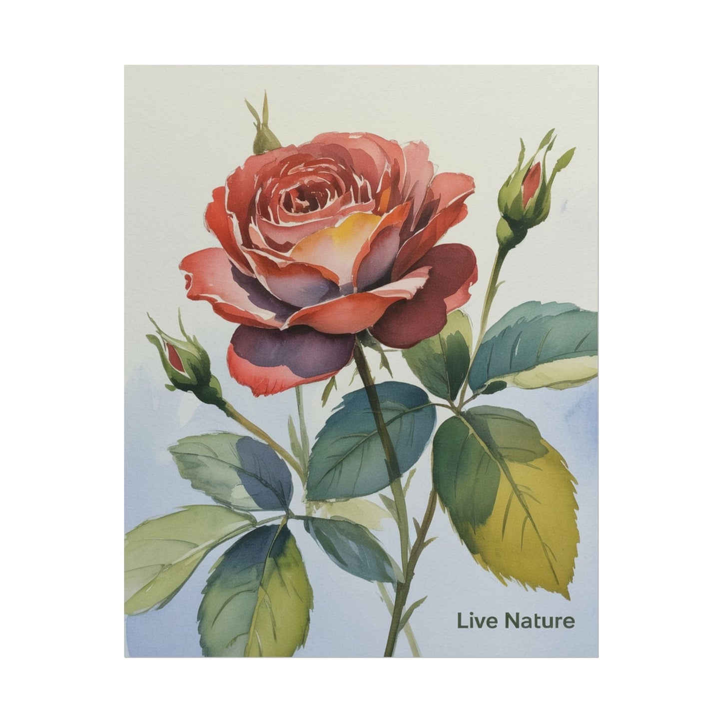 Live Nature Watercolor Rose Art Print Poster