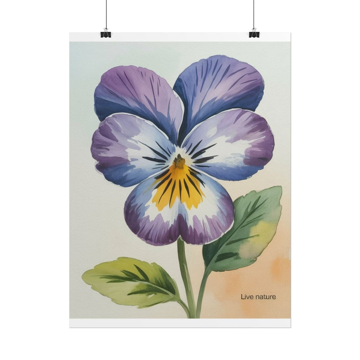 Purple Pansy Watercolor Poster Art Print - Live Nature