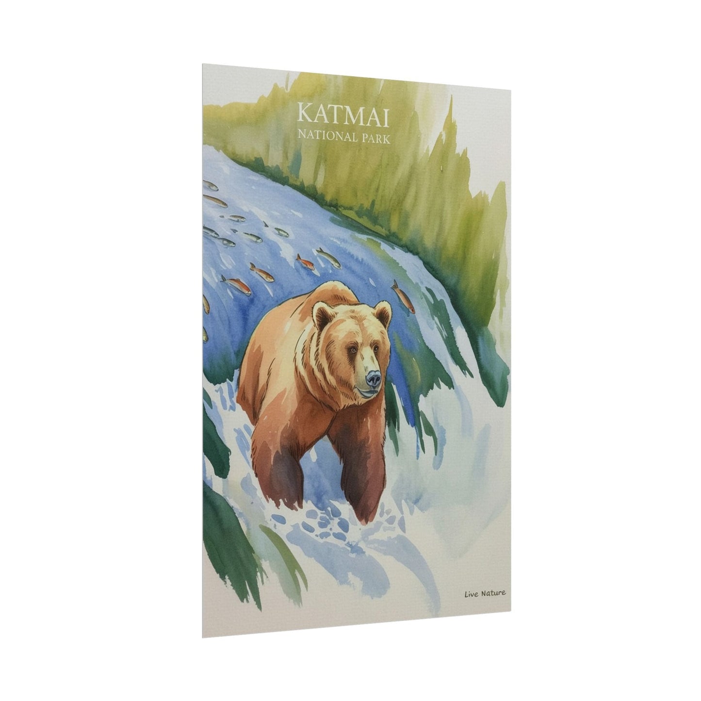 Katmai National Park Bear Watercolor Art Print