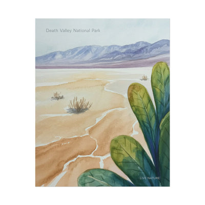 Death Valley National Park Watercolor Poster Print