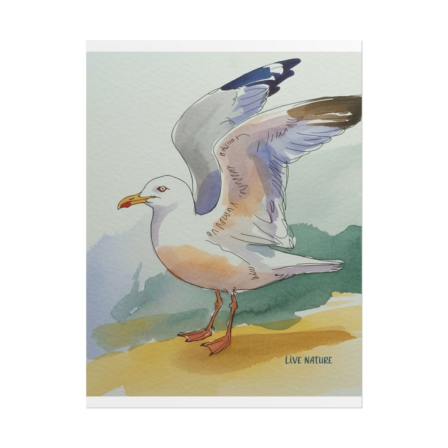 Seagull Watercolor Art Print 'Live Nature' Edition