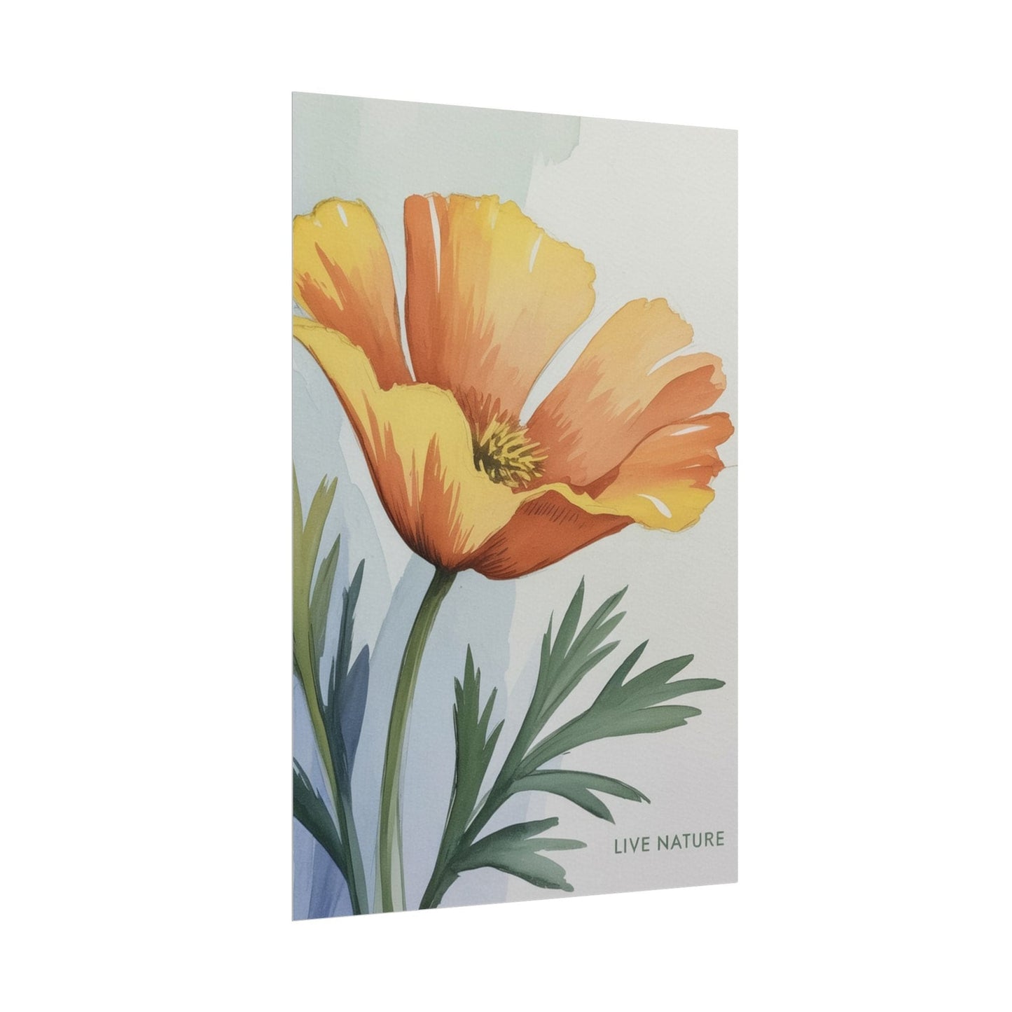 California Poppy Watercolor Art Print 'Live Nature