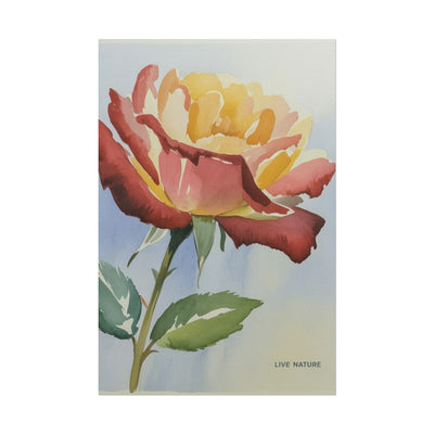 New York State Rose Watercolor Art Print