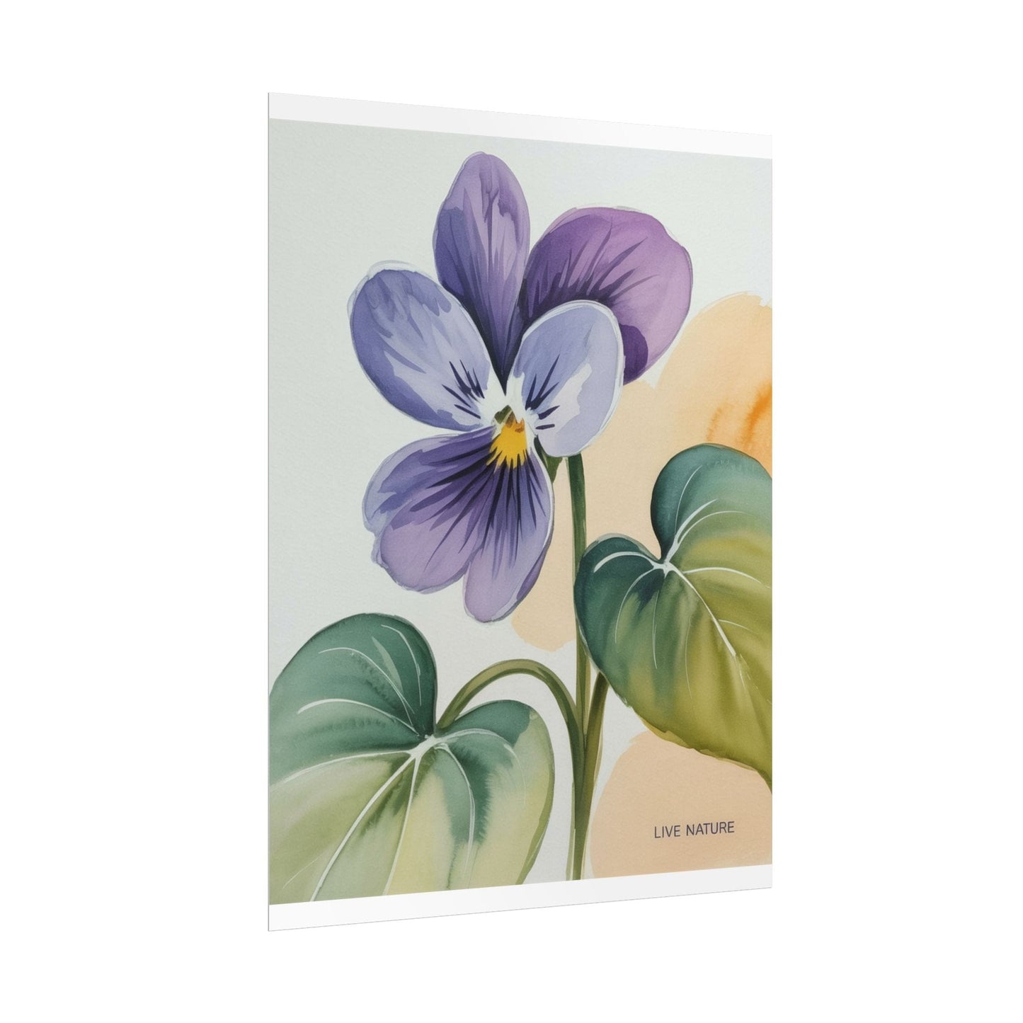 Prairie Violet Botanical Art Print - Live Nature Design