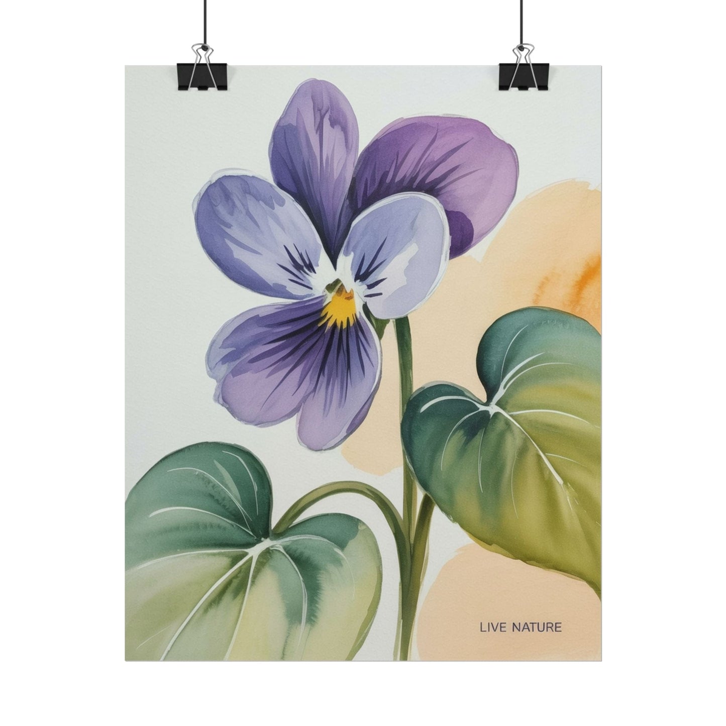 Prairie Violet Botanical Art Print - Live Nature Design