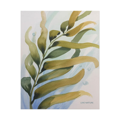 Live Nature Kelp Watercolor Print Poster