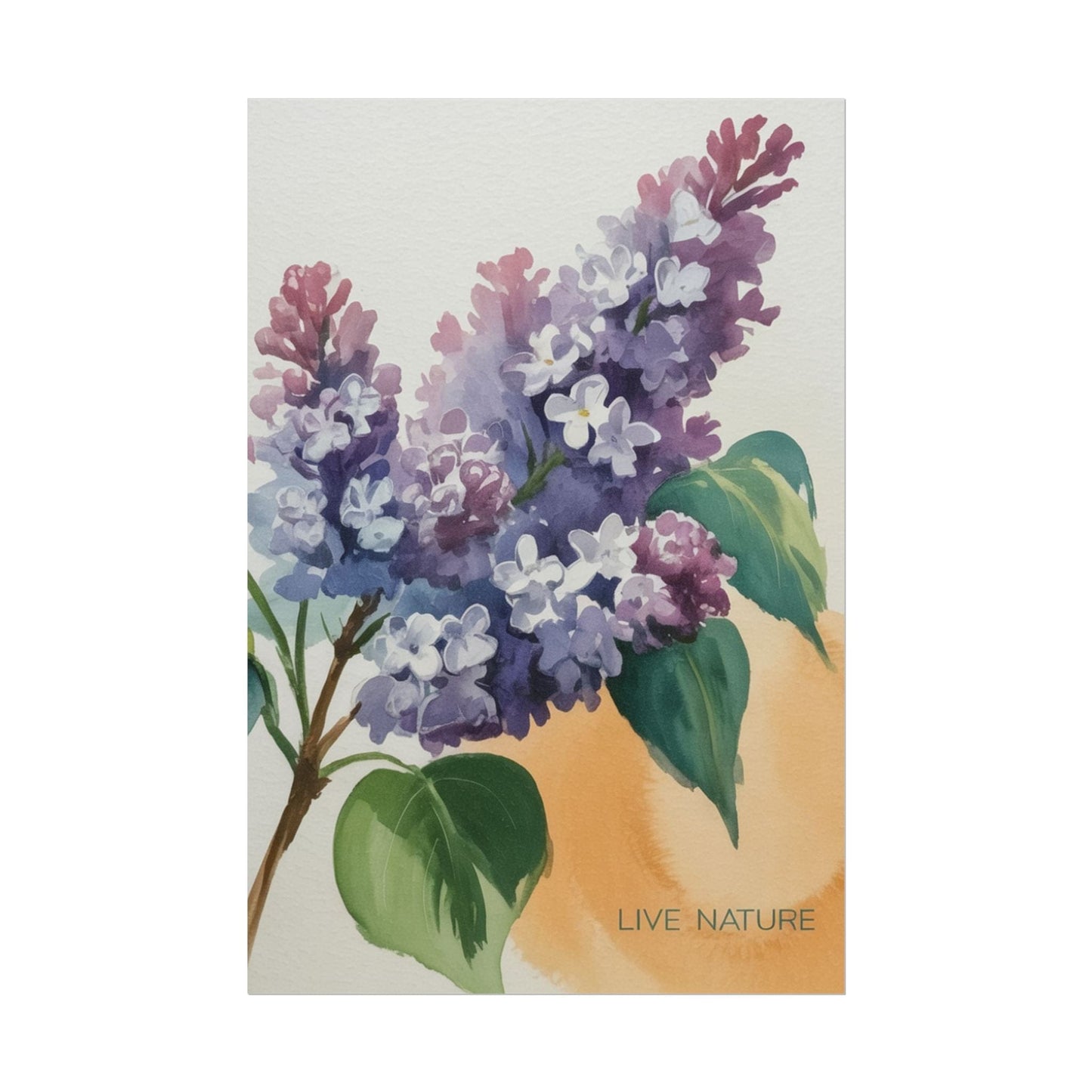 Lilac Blossom Watercolor Poster 'Live Nature' Design