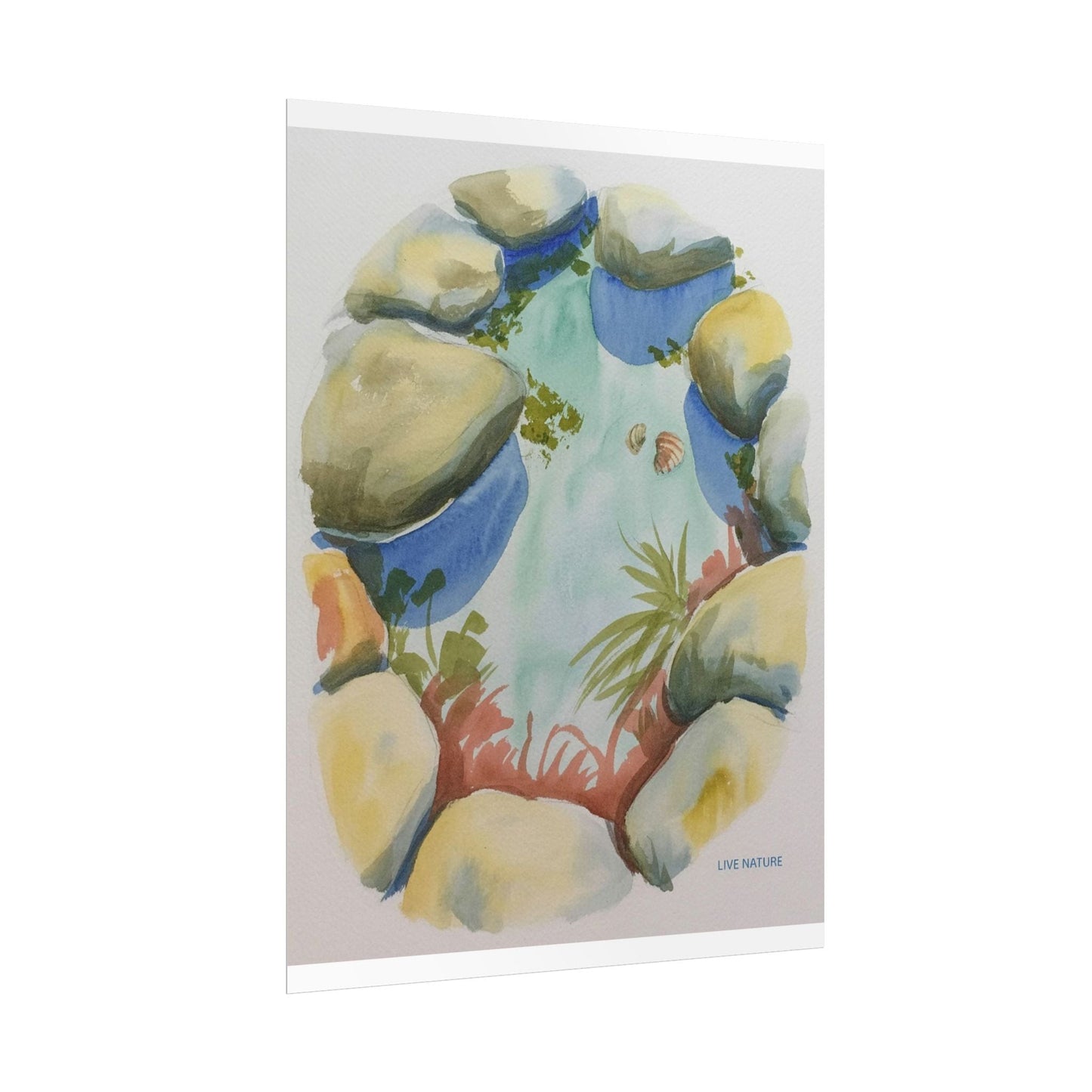 Rocky Tide Pool Watercolor Art Print 'Live Nature