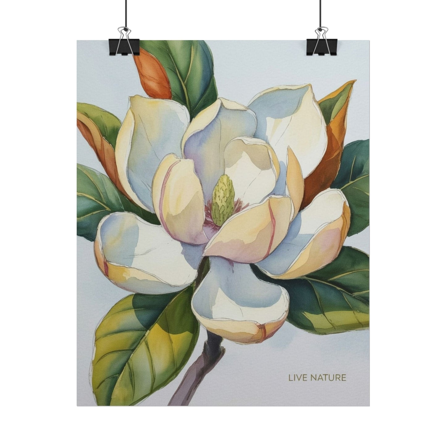 Magnolia Blossom Art Print on Fine Art Paper