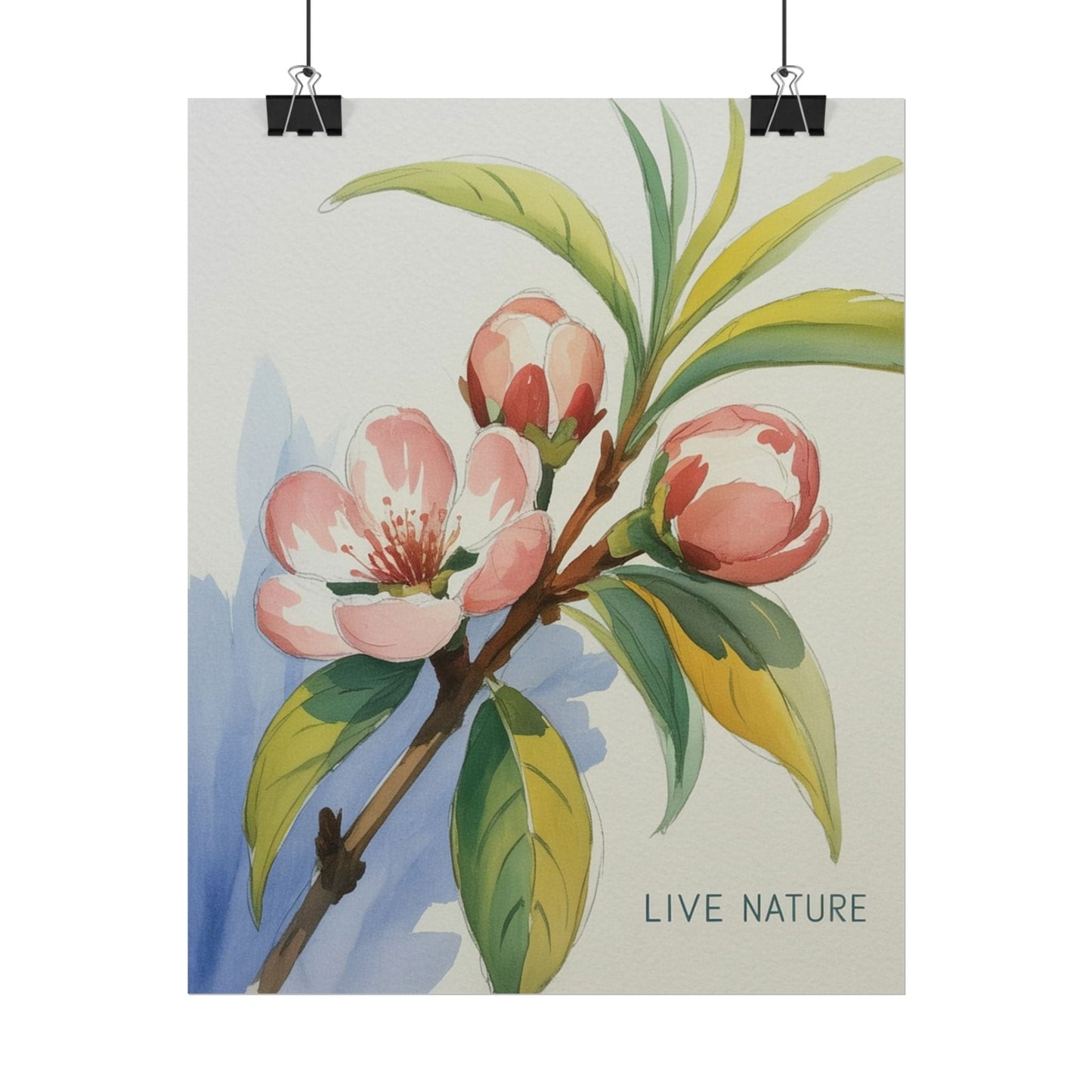 Peach Blossom Live Nature Art Print Poster