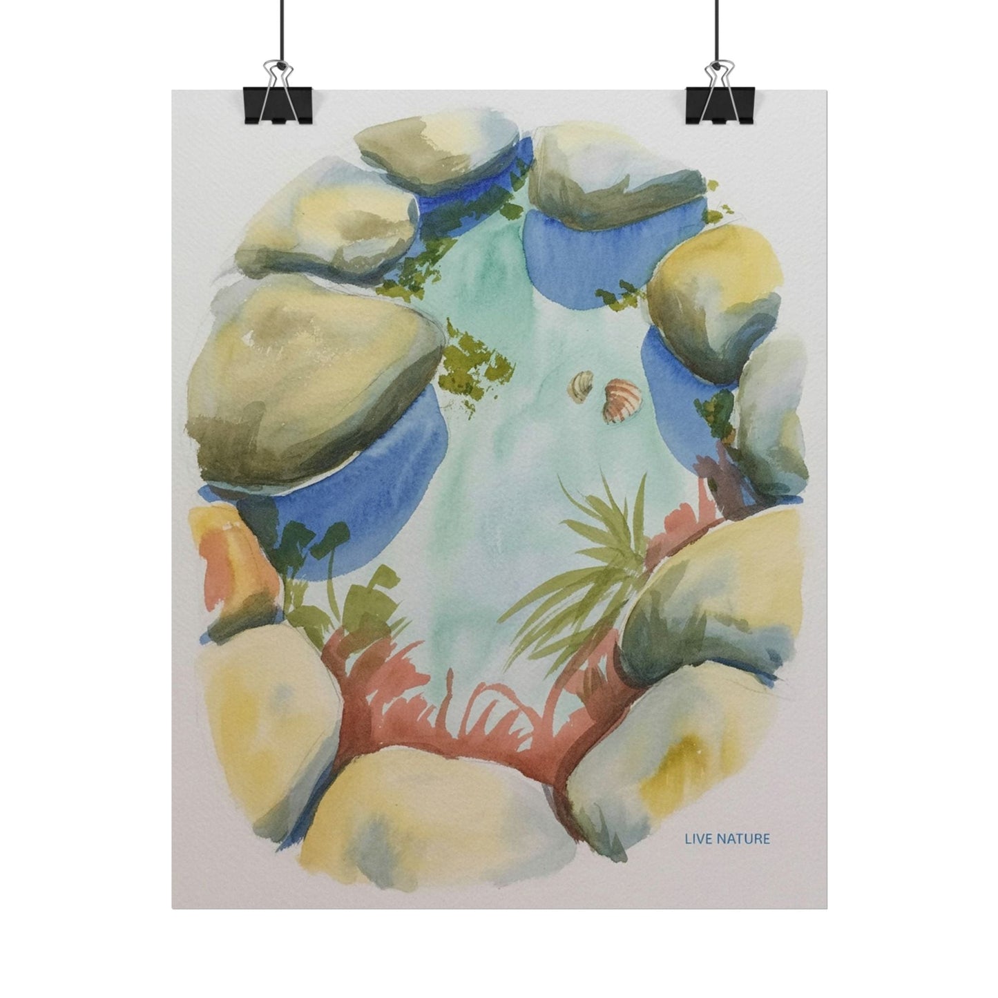 Rocky Tide Pool Watercolor Art Print 'Live Nature