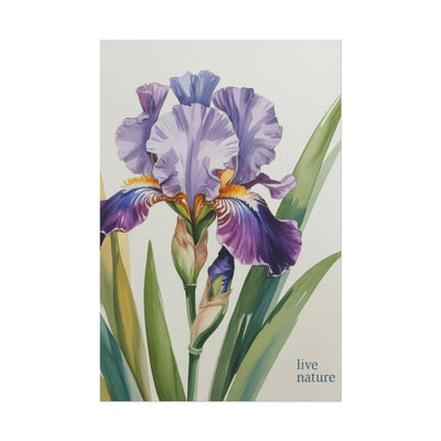 Iris Flower Watercolor Art Print with 'Live Nature