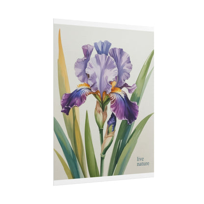 Iris Flower Watercolor Art Print with 'Live Nature