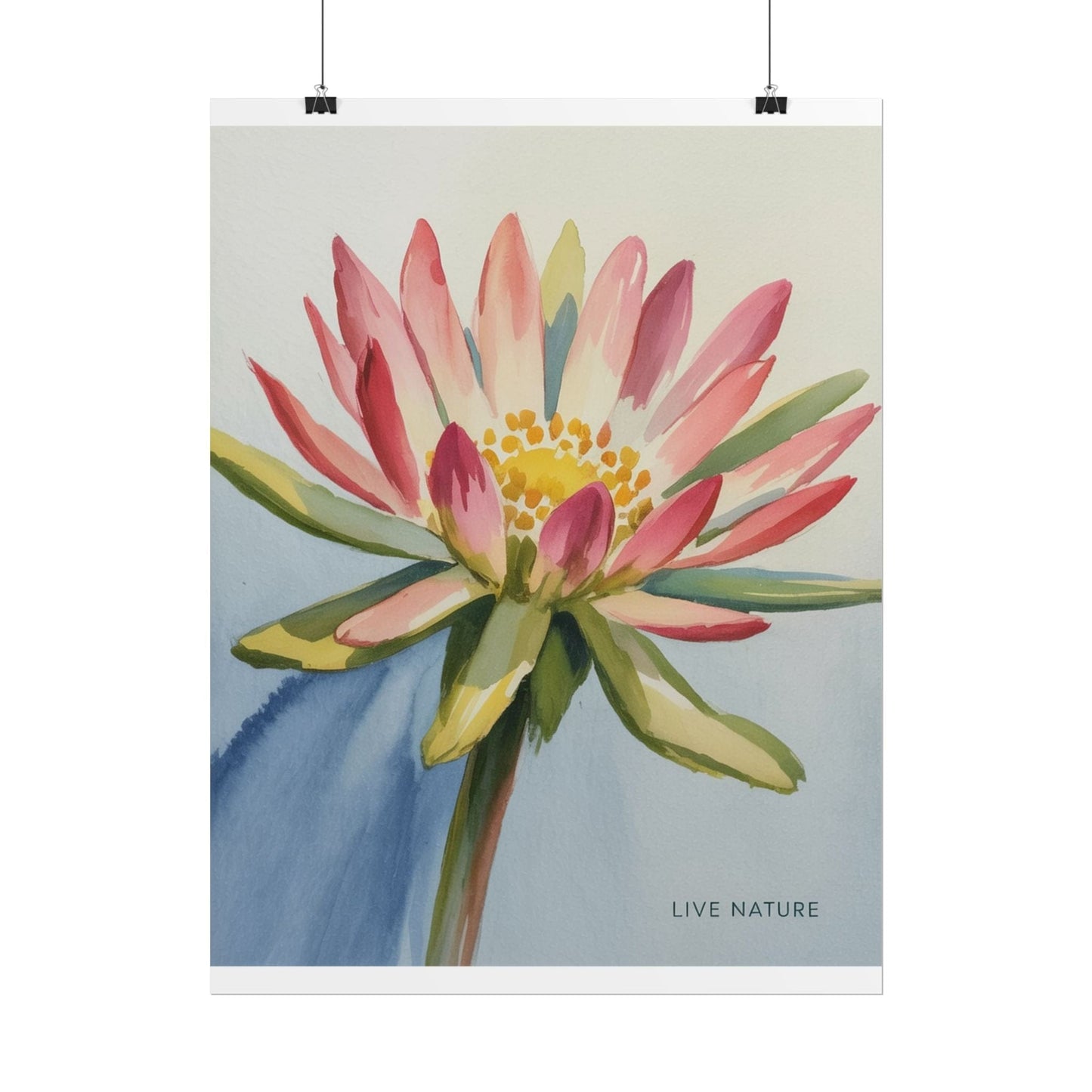 Bitterroot Flower Watercolor Print 'Live Nature