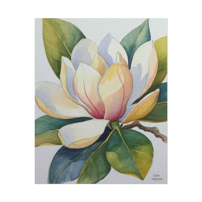 Magnolia Blossom Watercolor Print Fine Art Poster