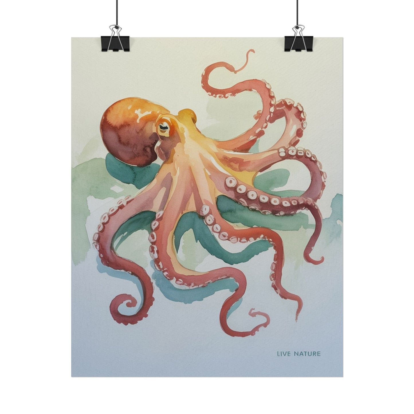 Watercolor Octopus Live Nature Art Print Poster
