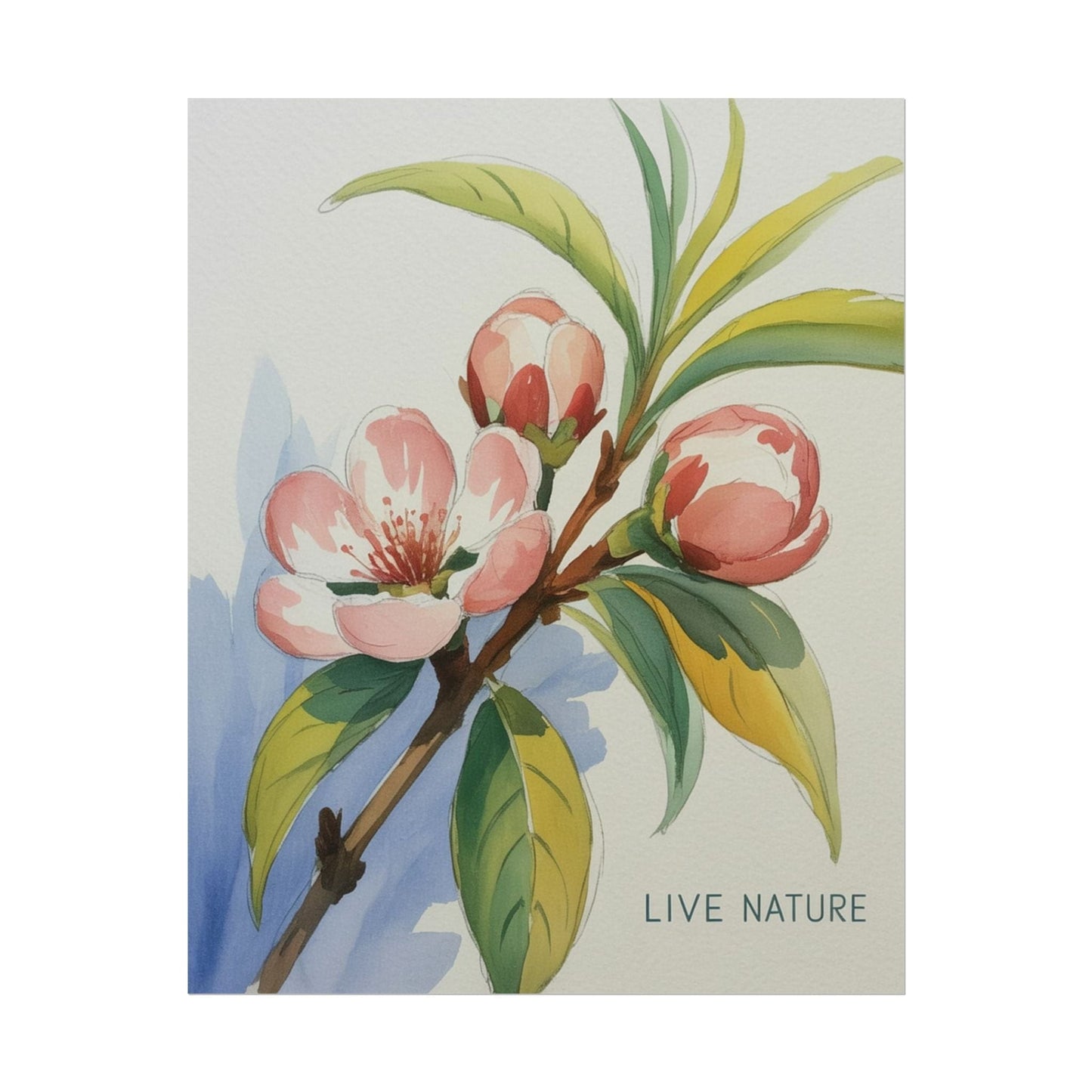Peach Blossom Live Nature Art Print Poster
