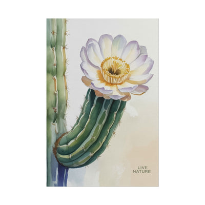 Saguaro Cactus Bloom Watercolor Art Print 'Live Nature