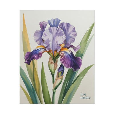 Iris Flower Watercolor Art Print with 'Live Nature