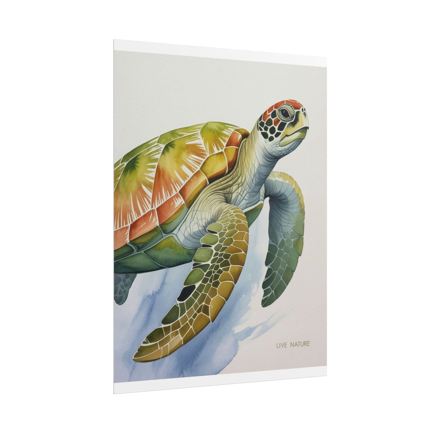 Sea Turtle Watercolor Art Print 'Live Nature' Design