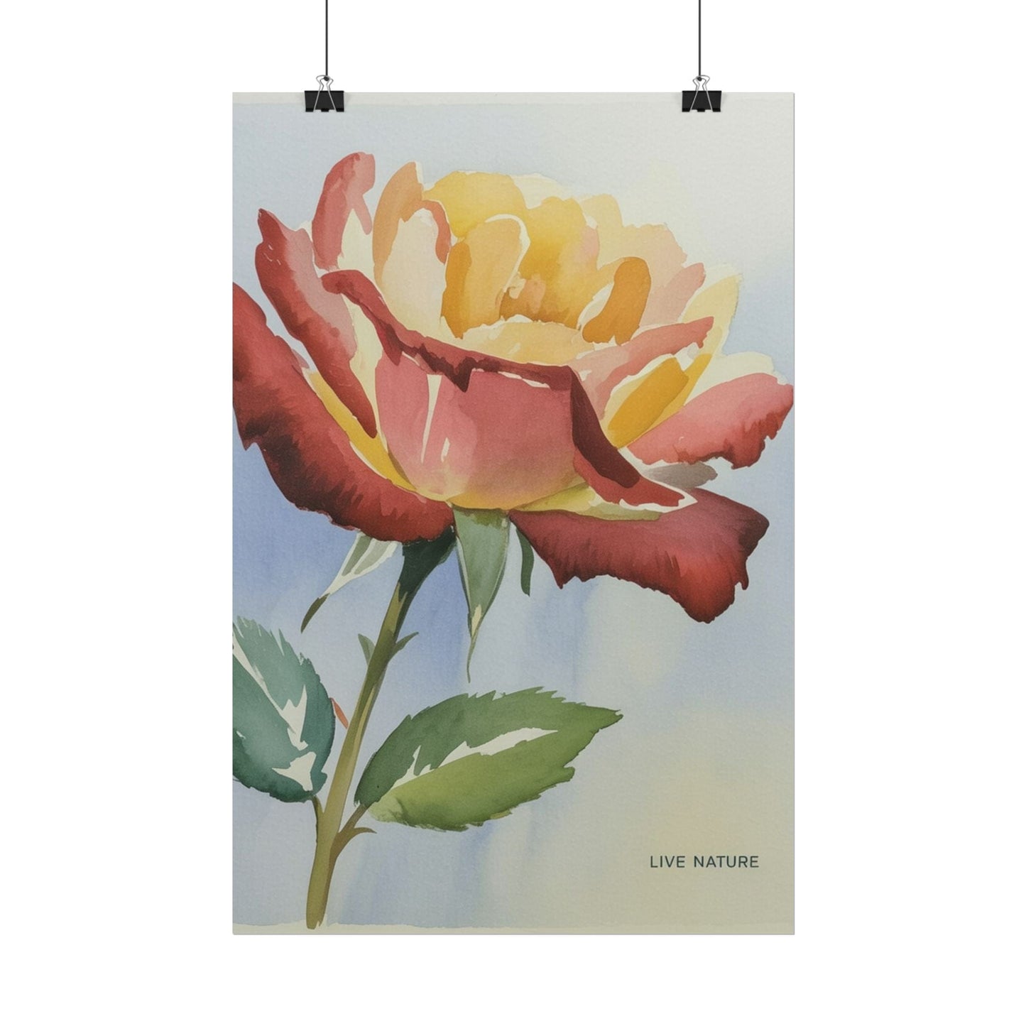 New York State Rose Watercolor Art Print