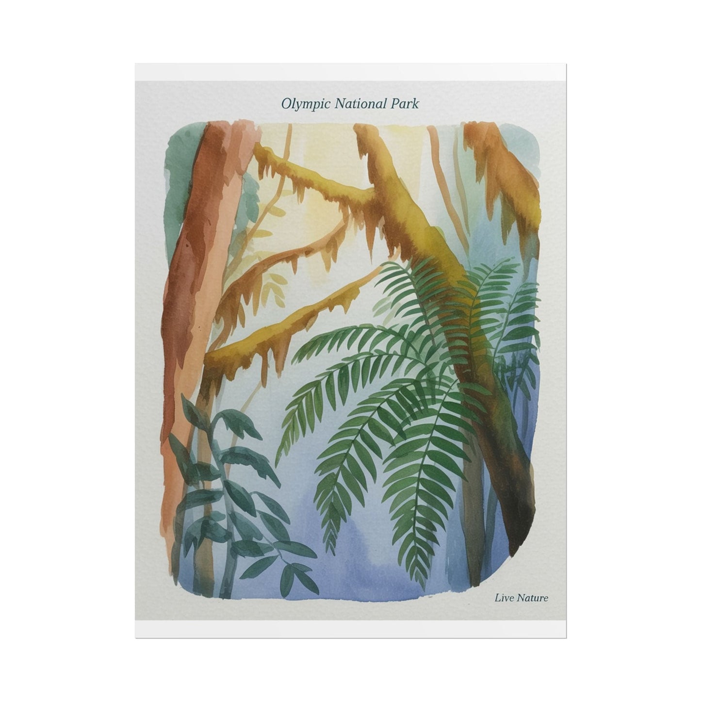 Olympic National Park Watercolor Forest Poster