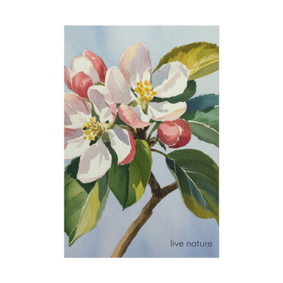 Apple Blossom Watercolor Art Print 'Live Nature' Design