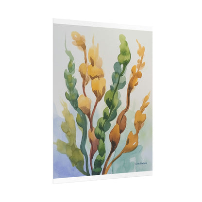 Seaweed Watercolor Art Print Coastal Nature Design