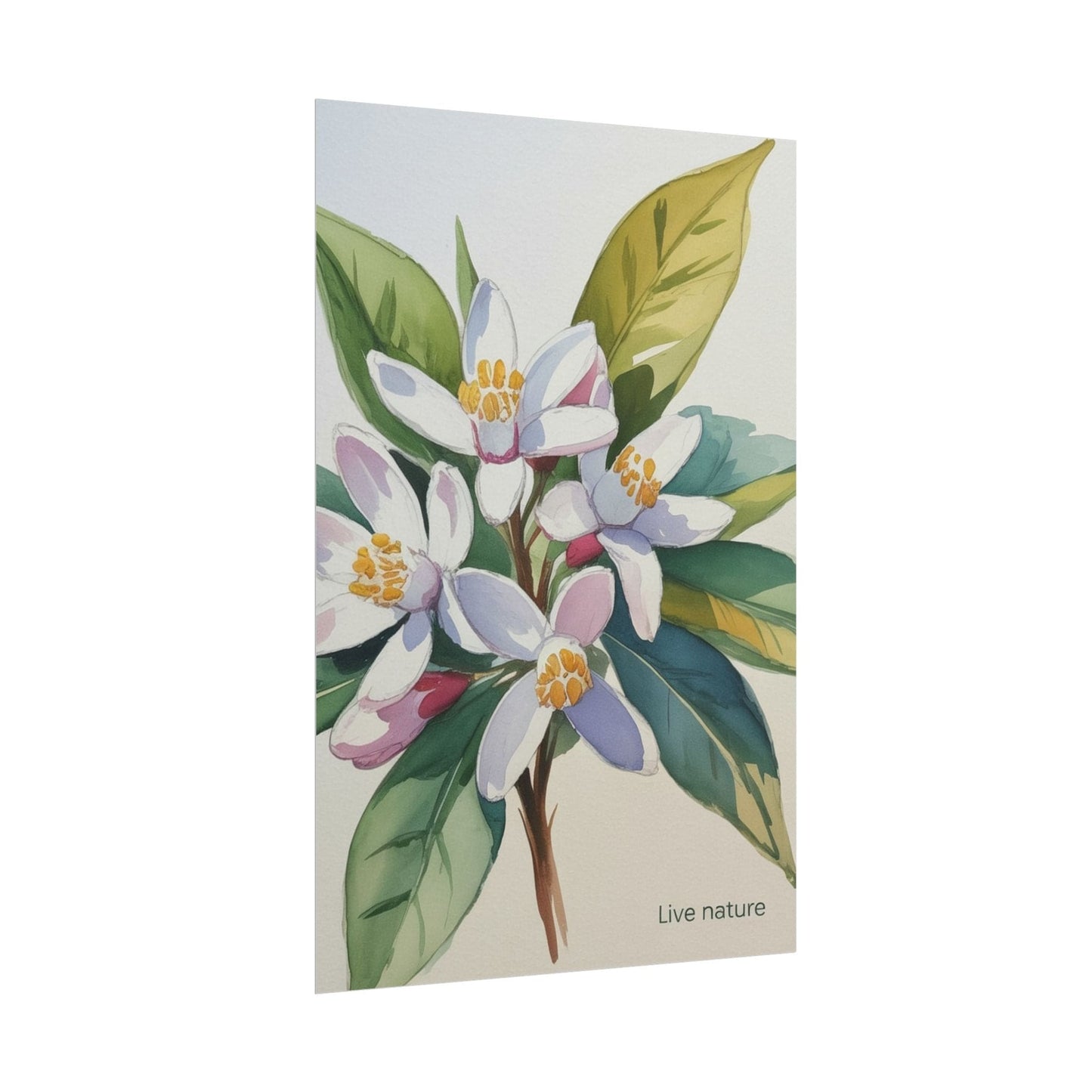 Orange Blossom Floral Watercolor Print 'Live Nature