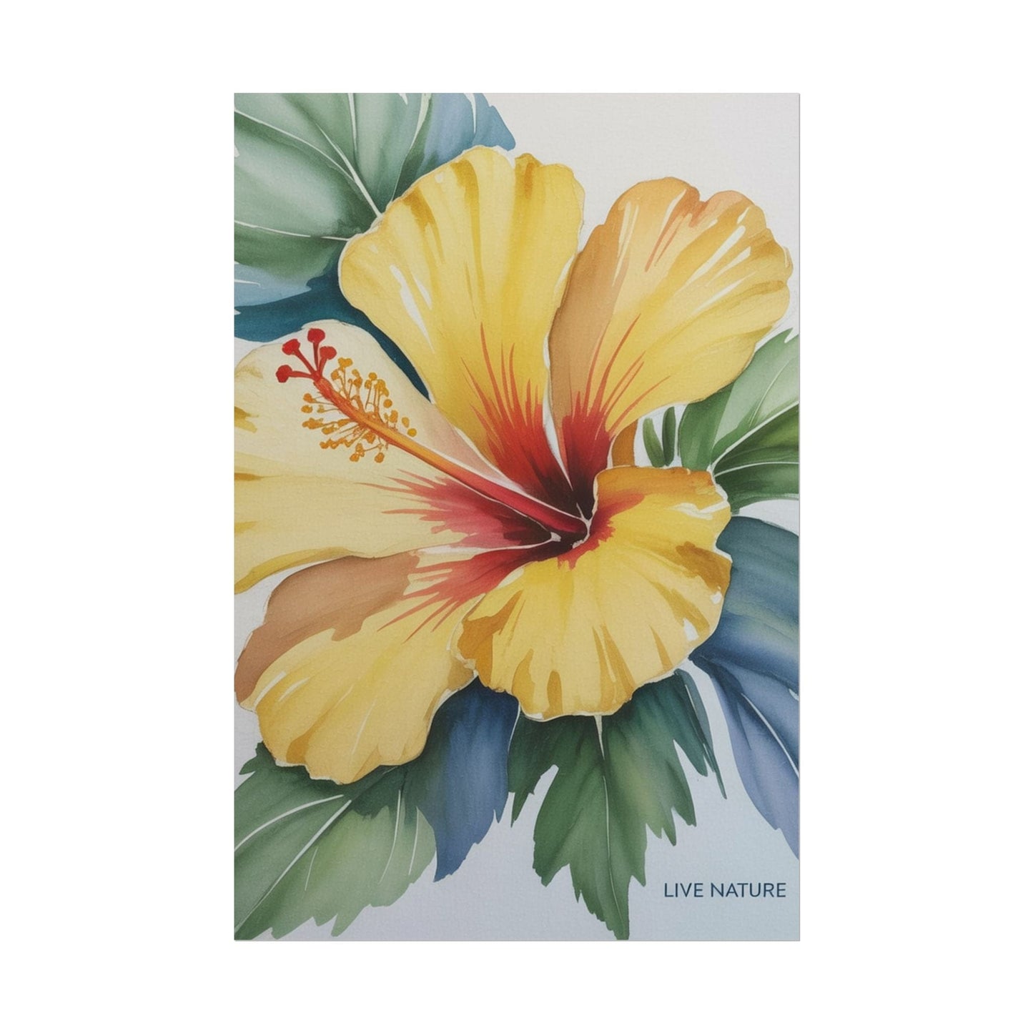 Yellow Hibiscus Watercolor Art Print - Live Nature