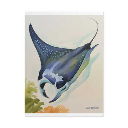 Manta Ray Watercolor Art Print 'Live Nature' Design