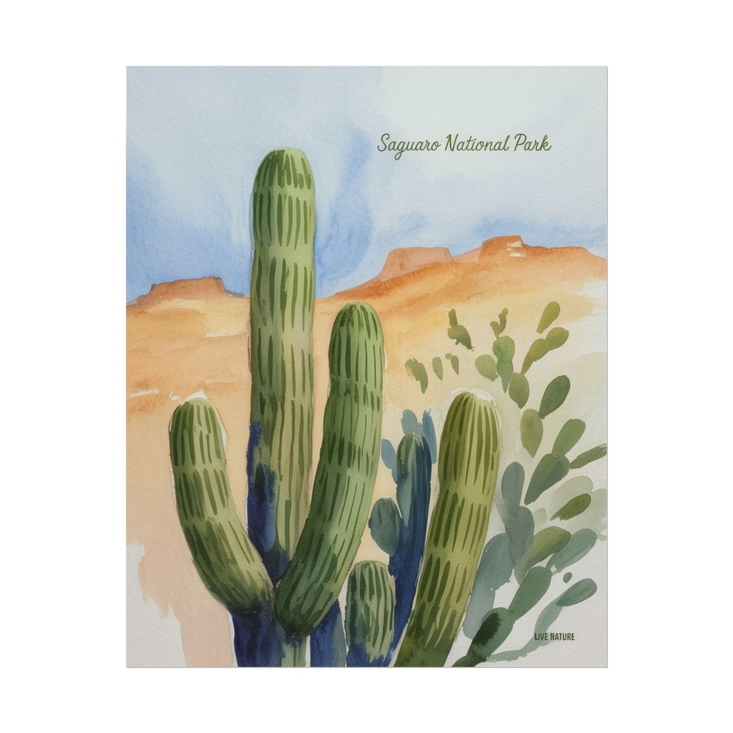 Saguaro National Park Watercolor Cactus Art Print