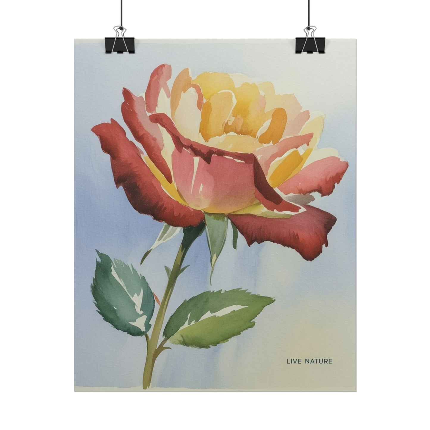 New York State Rose Watercolor Art Print