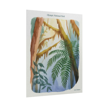 Olympic National Park Watercolor Forest Poster