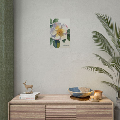 Cherokee Rose Watercolor Art Print 'Live Nature