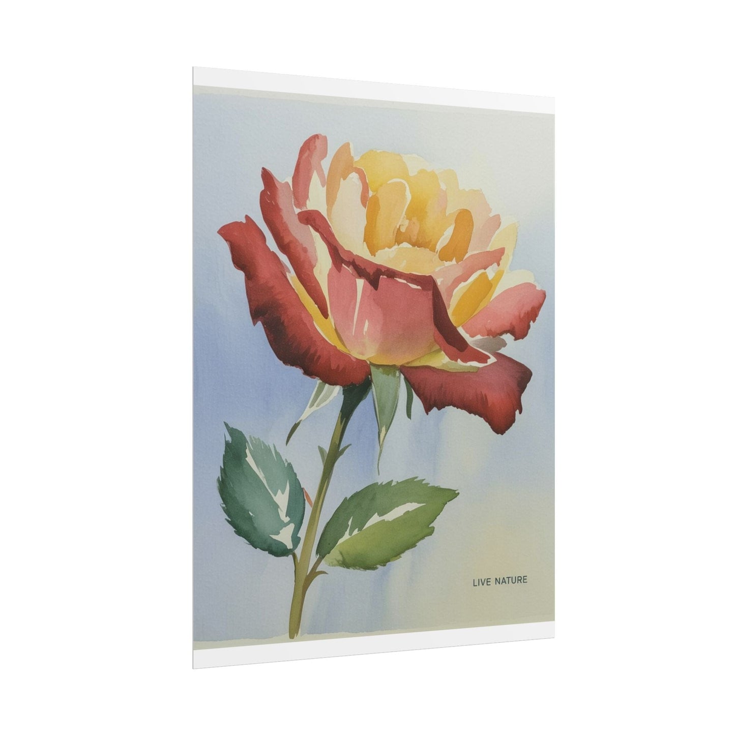 New York State Rose Watercolor Art Print