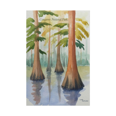 Congaree National Park Cypress Watercolor Poster