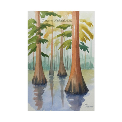 Congaree National Park Cypress Watercolor Poster
