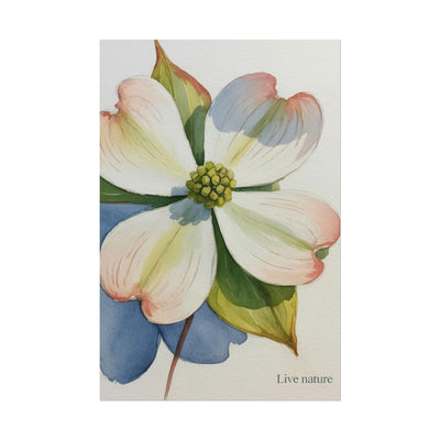 Flowering Dogwood Watercolor Print 'Live Nature